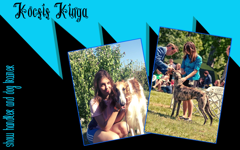 Dog show and junior handling ~ Kocsis Kinga